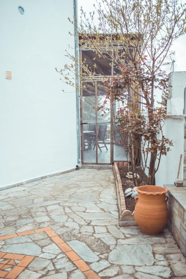 Violetta'S House Παραδοσιακή Βίλα Στην Πορταριά Exteriör bild